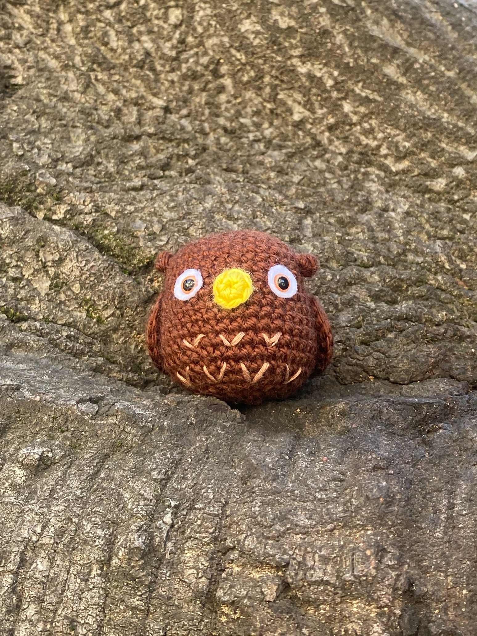Owl